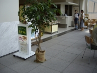 ふらっとはキュポ・ラ5Fにあります